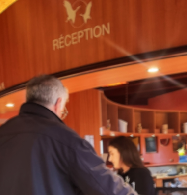 Réception de l'hotel 3 étoiles, dans un style alsacien moderne et chaleureux entre Sélestat et Kintzheim