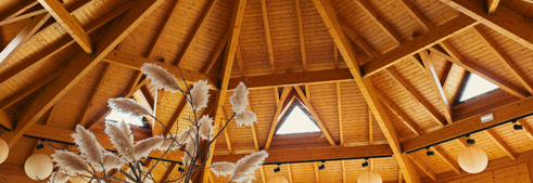 Img téléchargement