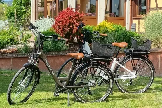 Vélos VAE en location